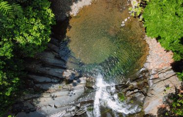 JUNGLE DREAMS FARM: WHERE NATURE MEETS SERENITY – 20 ACRES